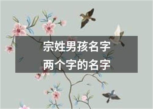 宗姓男孩名字两个字的名字