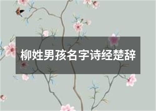 柳姓男孩名字诗经楚辞