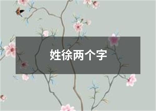 姓徐两个字