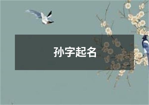 孙字起名