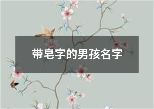 带皂字的男孩名字