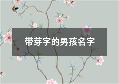 带芽字的男孩名字