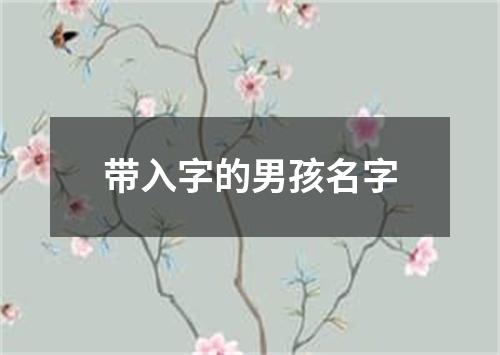 带入字的男孩名字