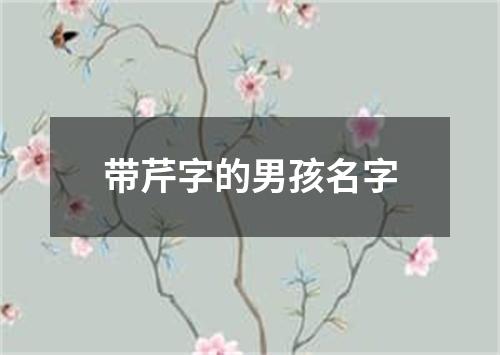 带芹字的男孩名字