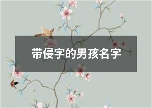 带侵字的男孩名字