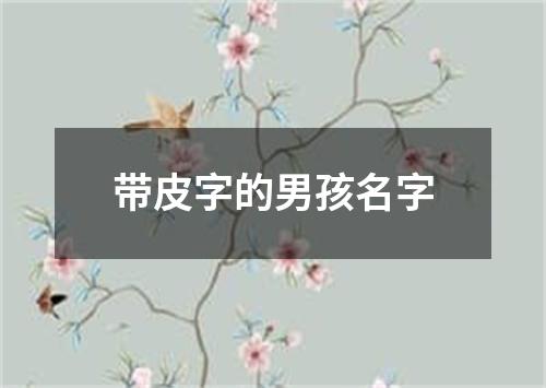 带皮字的男孩名字