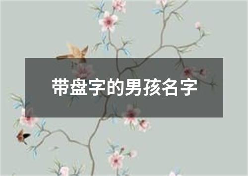 带盘字的男孩名字