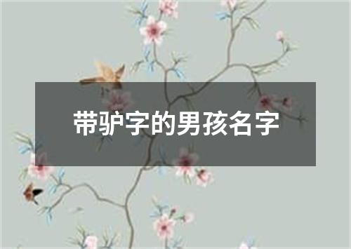 带驴字的男孩名字