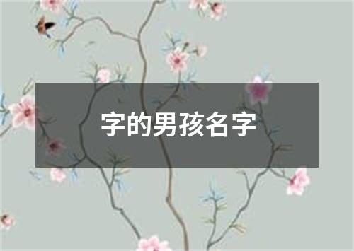 字的男孩名字