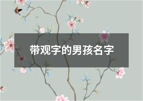 带观字的男孩名字