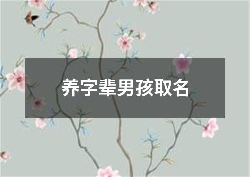 养字辈男孩取名