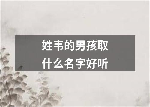 姓韦的男孩取什么名字好听