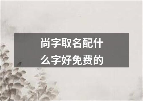 尚字取名配什么字好免费的