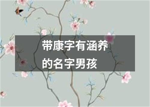 带康字有涵养的名字男孩