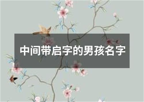 中间带启字的男孩名字