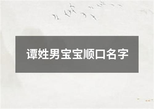 谭姓男宝宝顺口名字