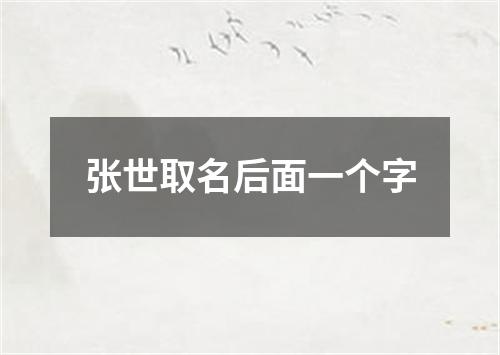 张世取名后面一个字