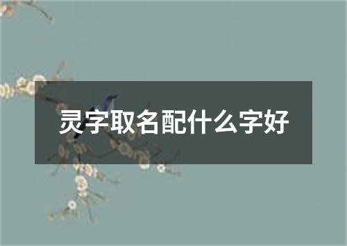 灵字取名配什么字好