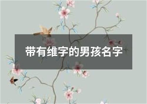 带有维字的男孩名字