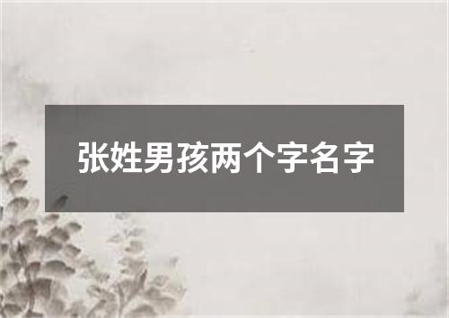 张姓男孩两个字名字