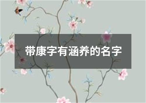 带康字有涵养的名字