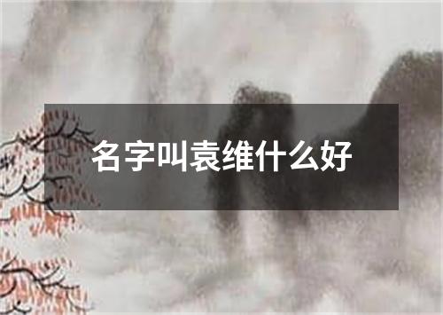 名字叫袁维什么好