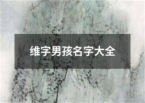 维字男孩名字大全