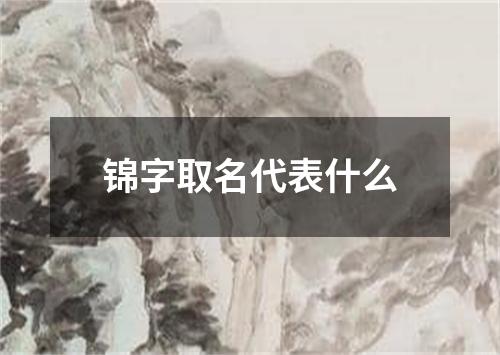 锦字取名代表什么