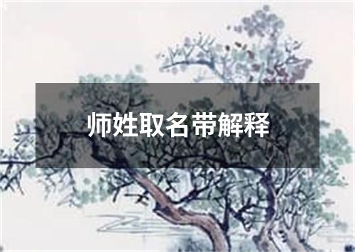 师姓取名带解释