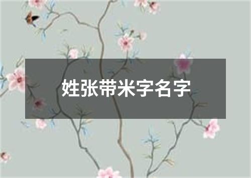 姓张带米字名字