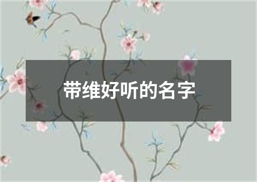 带维好听的名字