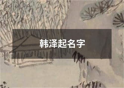 韩泽起名字