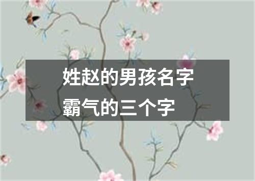 姓赵的男孩名字霸气的三个字