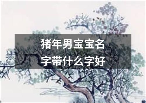 猪年男宝宝名字带什么字好