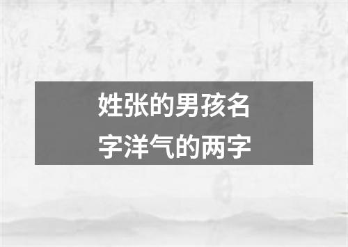 姓张的男孩名字洋气的两字