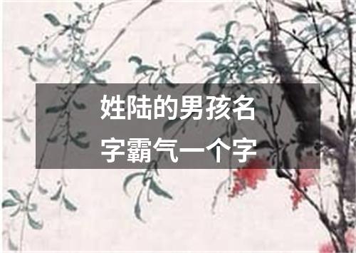 姓陆的男孩名字霸气一个字