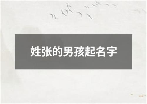 姓张的男孩起名字