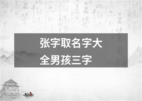 张字取名字大全男孩三字