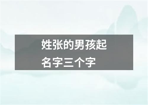 姓张的男孩起名字三个字