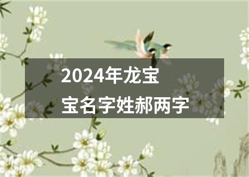 2024年龙宝宝名字姓郝两字