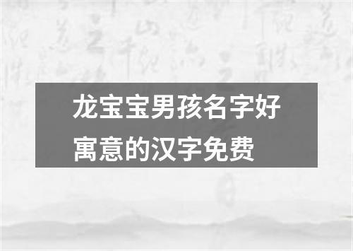 龙宝宝男孩名字好寓意的汉字免费