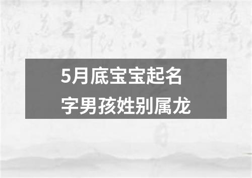 5月底宝宝起名字男孩姓别属龙