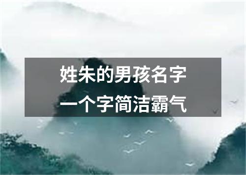 姓朱的男孩名字一个字简洁霸气