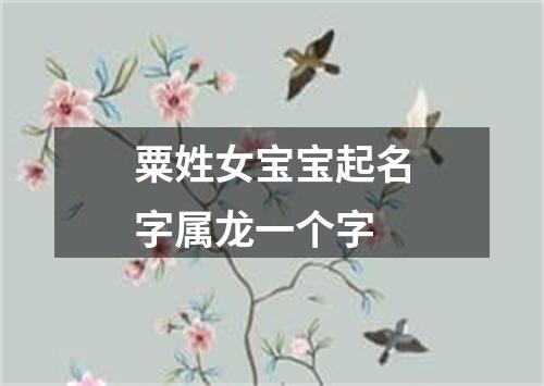 粟姓女宝宝起名字属龙一个字