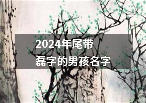 2024年尾带磊字的男孩名字