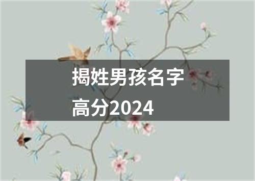 揭姓男孩名字高分2024