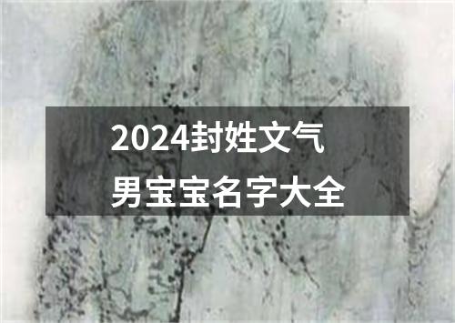 2024封姓文气男宝宝名字大全