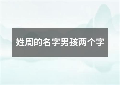 姓周的名字男孩两个字