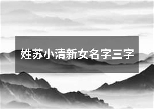 姓苏小清新女名字三字