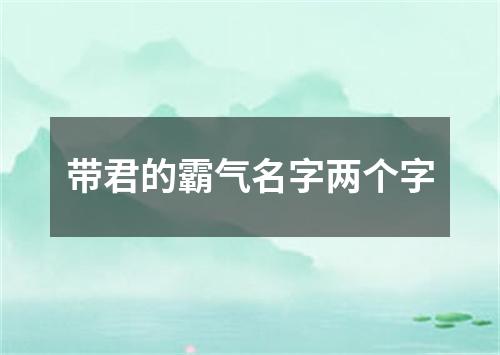 带君的霸气名字两个字